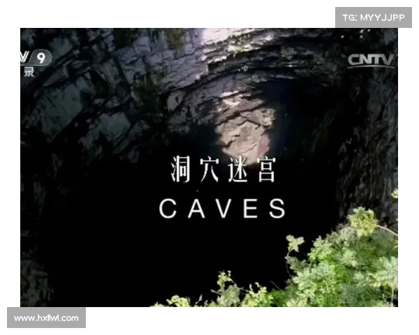 隐秘的洞穴 攻略